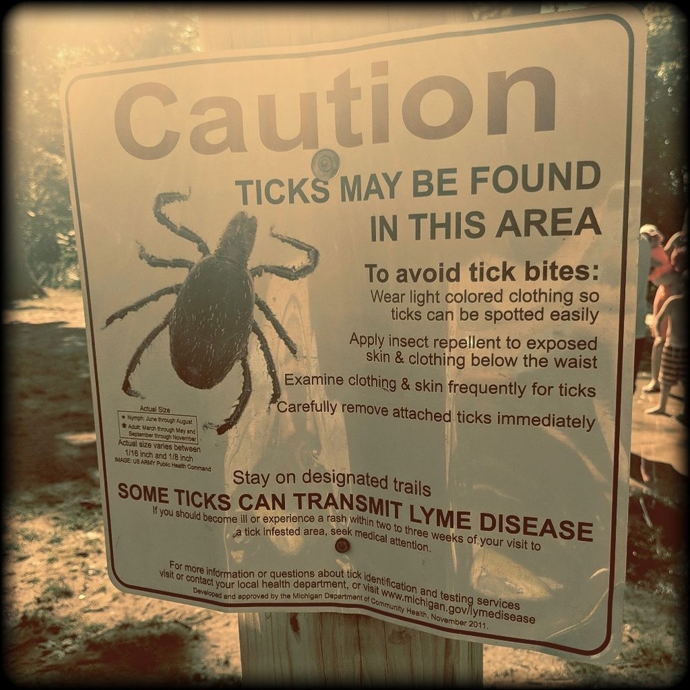💚Fighting Lyme Disease💚